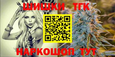 индика Тула