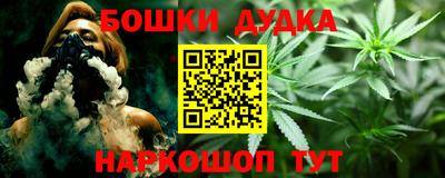 индика Тула