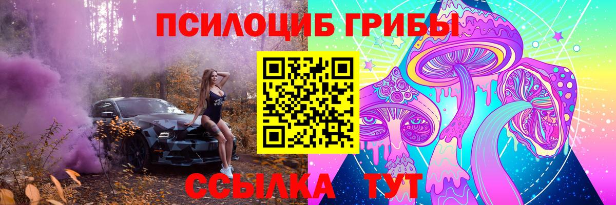 Ярцево  Псилоцибиновые грибы GOLDEN TEACHER  Галлюциногенные грибы мицелий  Вход с VPN 