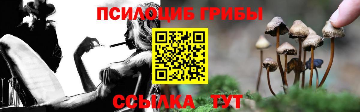 Галлюциногенные грибы MAGIC MUSHROOMS Ярцево